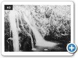 Rosemarkie Fairy Glen 2