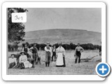 Western Farm harvesting c1914